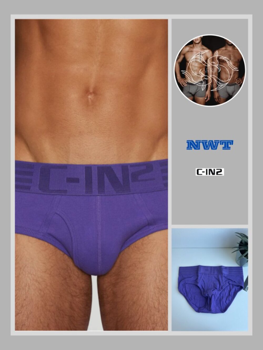 C-IN2 - Hard Core - Fly Front Brief - Paxton Purple (M)